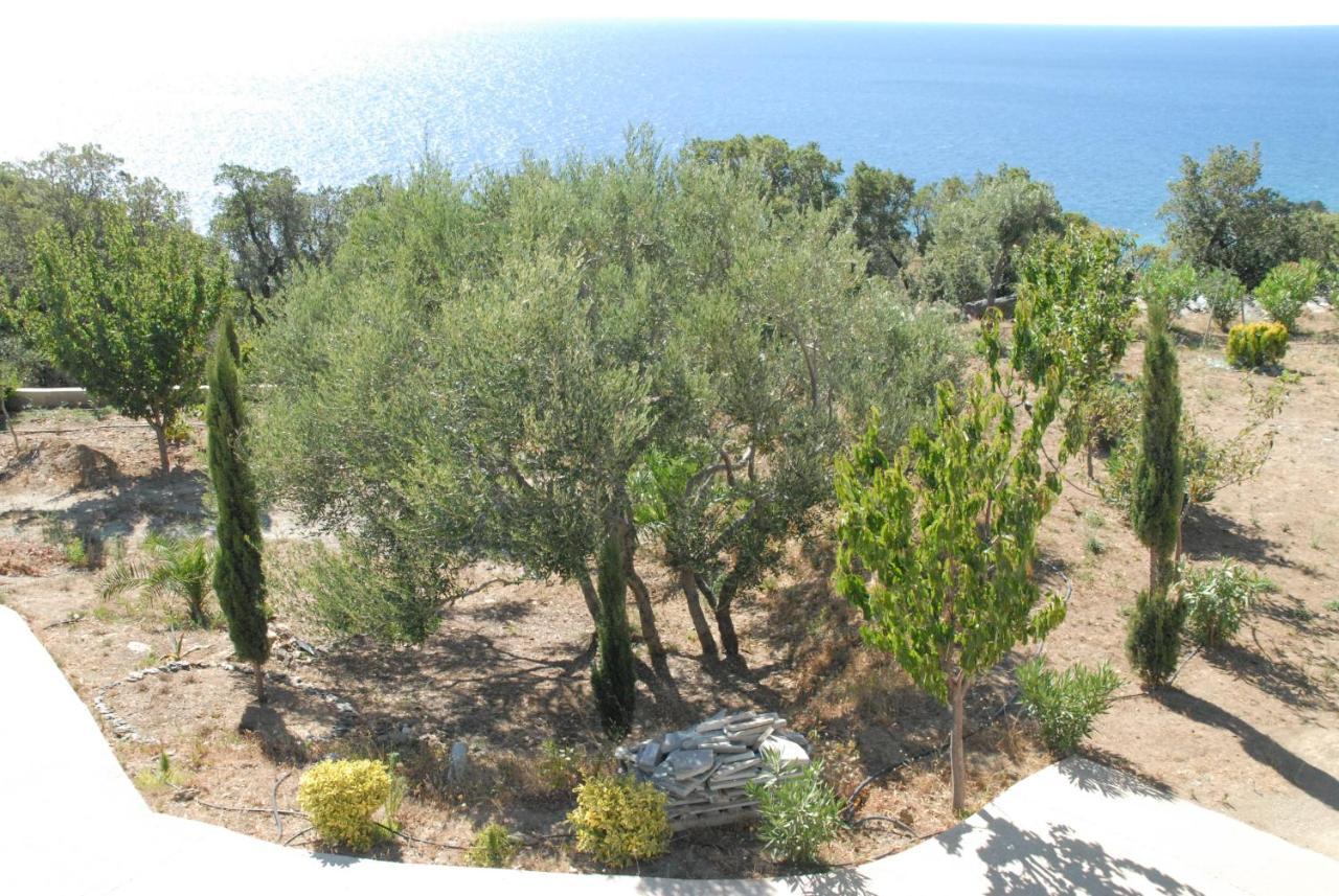 Vue Sur *